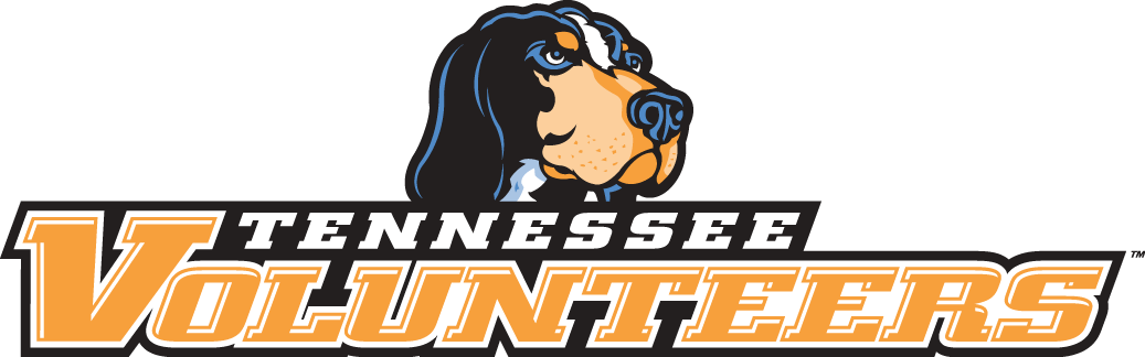 Tennessee Volunteers 2005-Pres Wordmark Logo DIY iron on transfer (heat transfer)...